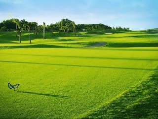 Hanoi & Saigon Golf Package - 7 Days - 30% off