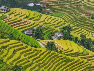 Best of North Vietnam 10 Days Tour - Private tour - 30% off