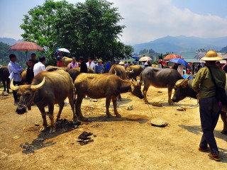 Indochina 18 Days Tour - Private tour - 20% off