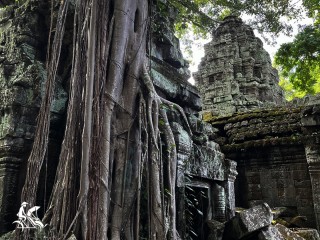 The Amazing Vietnam & Cambodia 17 Days 16 Nights Package Tour - Private tour (20% off)