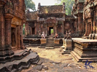 Angkor Wat - Angkor Thom - Ta Prohm  1 Day - Private tour