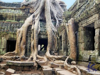 Vietnam & Cambodia 9 Days Tour - Private tour - 40% off
