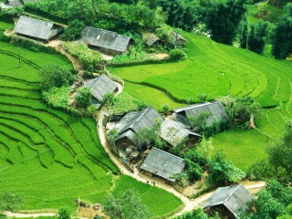 Vietnam Discovery 14 Days Tour- Private tour - 28% off