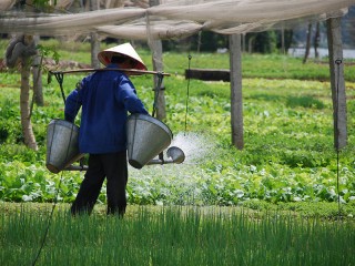 Vietnam Package Holiday For Kids 10 Days - Private tour - 25% off