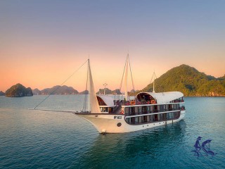 Sena Cruise - 40% off