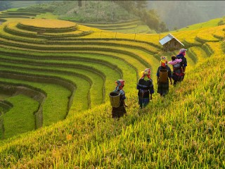 Amazing Mu Cang Chai 3 Days Tour - Private tour