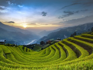 Amazing Mu Cang Chai 3 Days Tour - Private tour