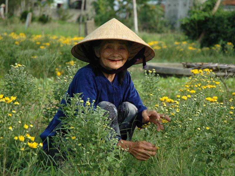 Visit Tra Que vegetable village