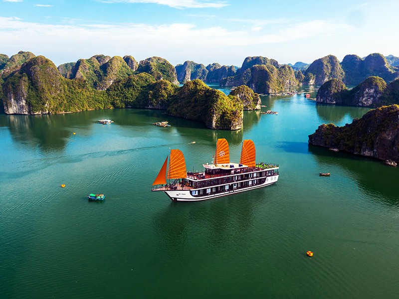 Peony Cruises - 30% off