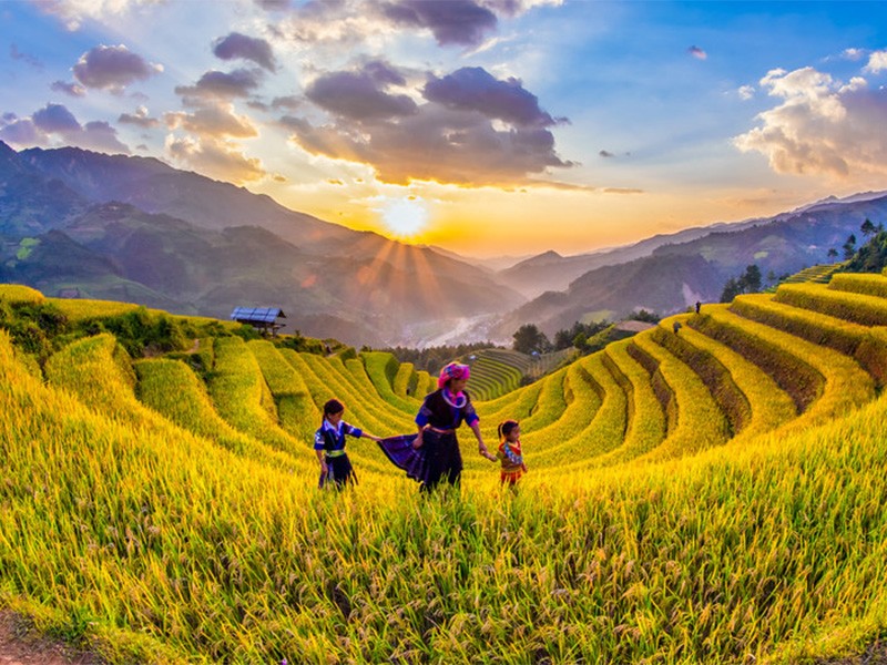Amazing Mu Cang Chai 3 Days Tour - Private tour