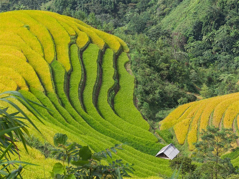 Best of North Vietnam 10 Days Tour - Private tour - 30% off