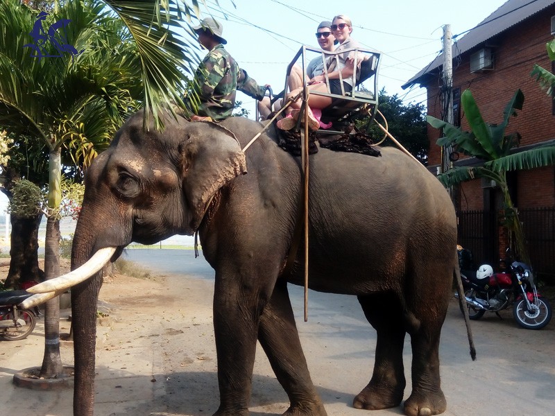 Central Highlands 6 Days Easy Rider Tour - Private tour - 40% off
