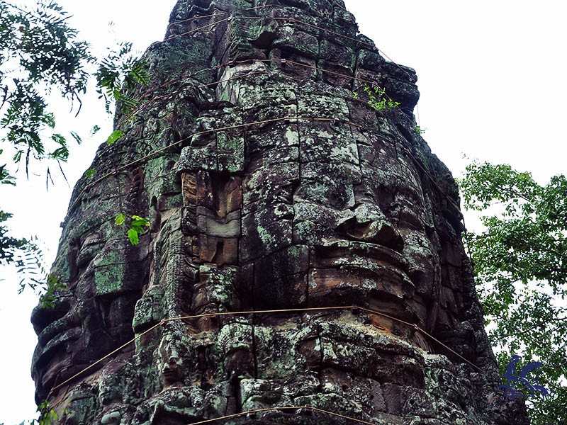 Highlights of Cambodia 5 Days Tour - Private tour - 10% off