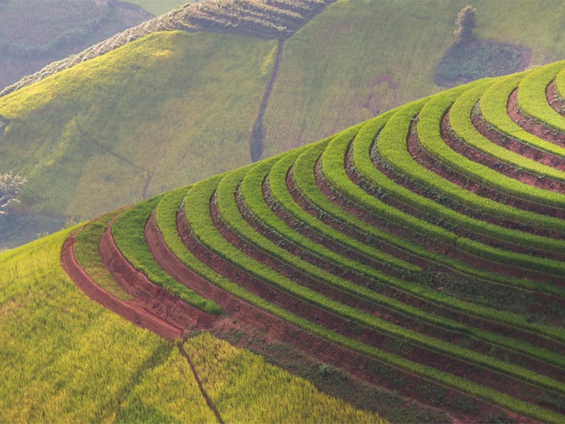 Amazing Mu Cang Chai 3 Days Tour - Private tour
