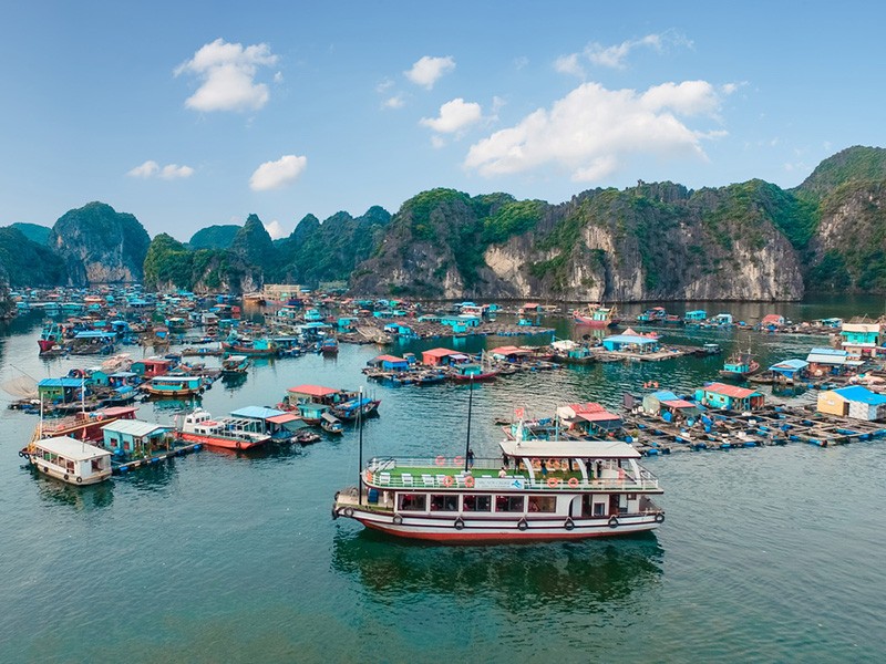 Arcady Cruises - 35% off