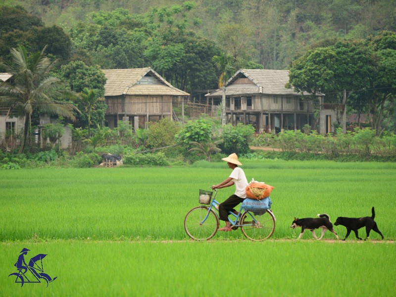 Amazing North-West Vietnam 7 Days Tour - Private tour - 25% off