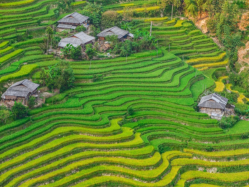 Best of North Vietnam 10 Days Tour - Private tour - 30% off