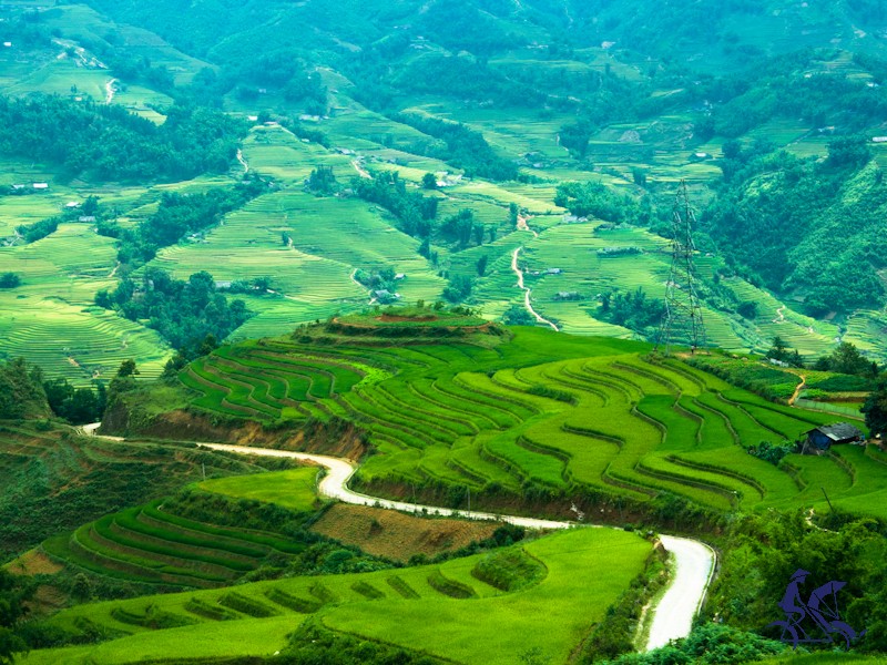 Amazing North-West Vietnam 7 Days Tour - Private tour - 25% off
