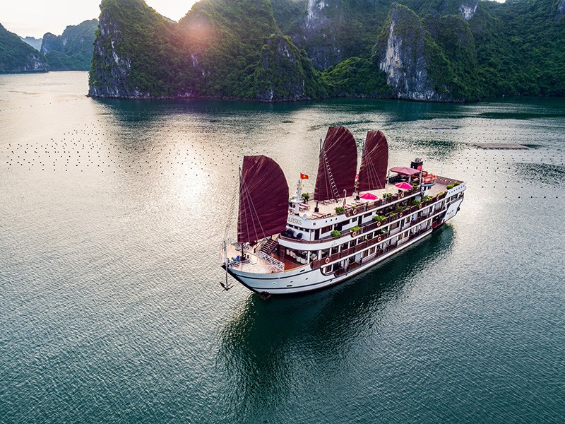 Alisa Premier Cruise - 30% off