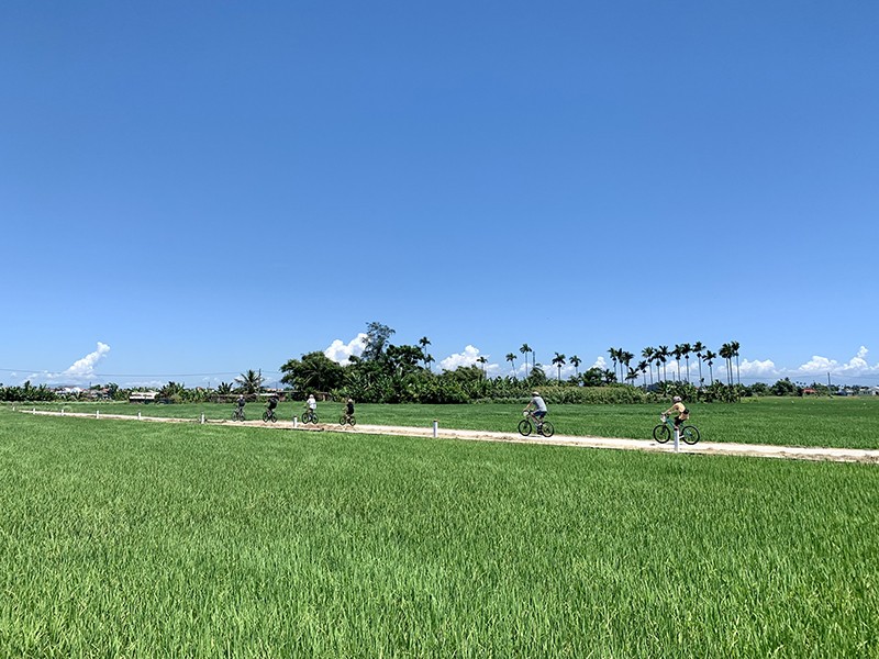 Exploring Vietnam in 17 Days for Family - Private Package Tour 