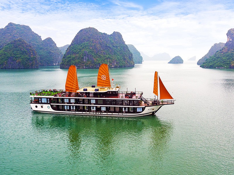Peony Cruises - 30% off
