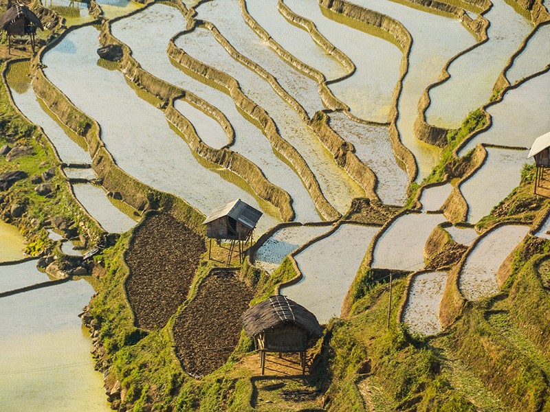 Amazing Mu Cang Chai 3 Days Tour - Private tour