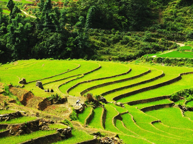 Indochina 18 Days Tour - Private tour - 20% off
