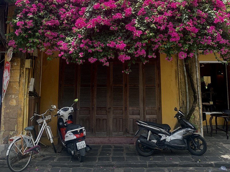 The Insights of Vietnam – 15 Days / 14 Nights Family Package Tour (Private Tour) - 25% off