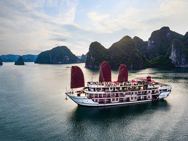 Alisa Premier Cruise - 30% off