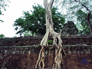Indochina Heritage 18 Days Tour - Private tour - 20% off
