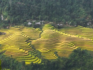 Best of North Vietnam 10 Days Tour - Private tour - 30% off