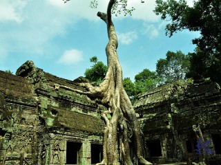 Discover Angkor Temples 5 Days - Private tour - 35% off