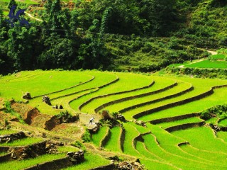 Vietnam Discovery 14 Days Tour- Private tour - 30% off