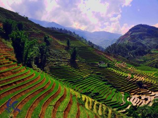 Amazing North-West Vietnam 7 Days Tour - Private tour - 25% off