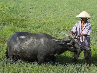 Essential Vietnam 10 Days Tour - Private tour - 35% off