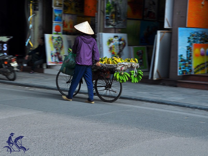Hanoi Cyclo Tour and Water Puppet Show for Half Day Tour (4 hours) - Private tour - 40% off