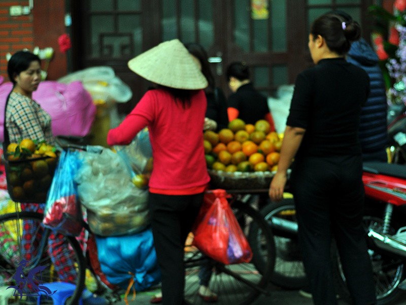 Hanoi Cyclo Tour and Water Puppet Show for Half Day Tour (4 hours) - Private tour - 40% off