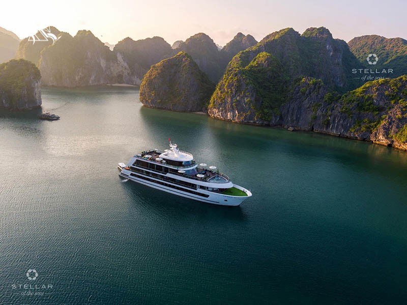 Stellar of The Seas Cruise - 35% off